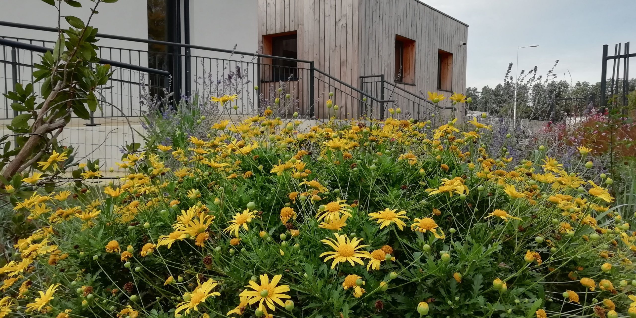 Le lieu - L'école Montessori Happy Forever School à Nîmes/Bouillargues